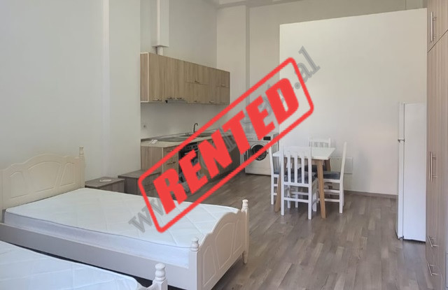 Studio apartment &nbsp;for rent in Arkitekt Kasemi Street in the area of Brryli in Tirana
The apart